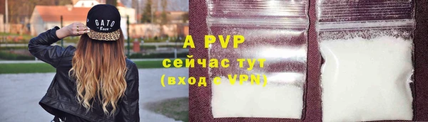 кокс Баксан