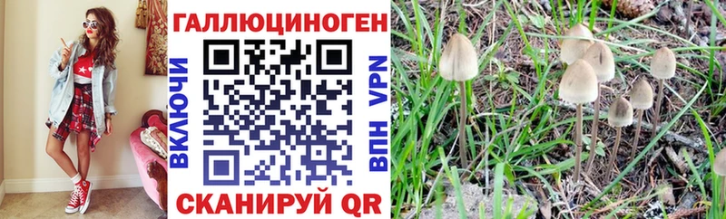 закладка Озёры Псилоцибиновые грибы ЛСД